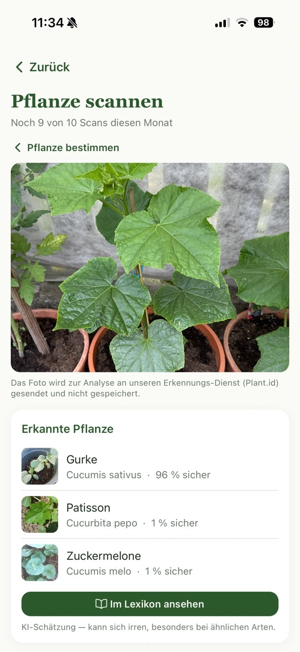 Pflanzen-Erkennung per Foto